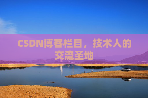 CSDN博客栏目，技术人的交流圣地